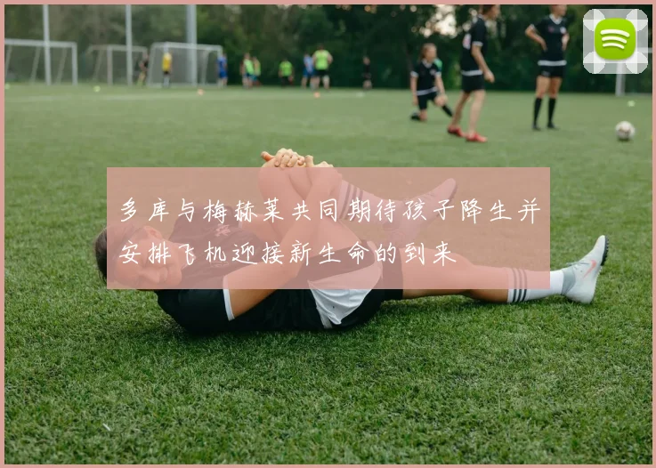 多库与梅赫莱共同期待孩子降生并安排飞机迎接新生命的到来