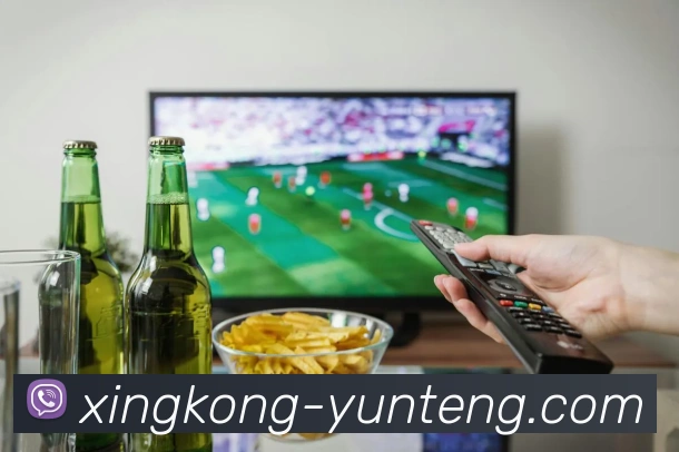 星空体育APP 封面图